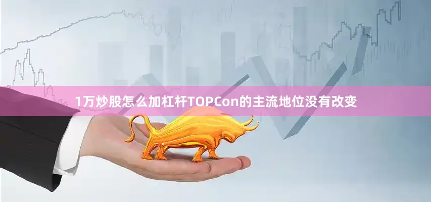 1万炒股怎么加杠杆TOPCon的主流地位没有改变