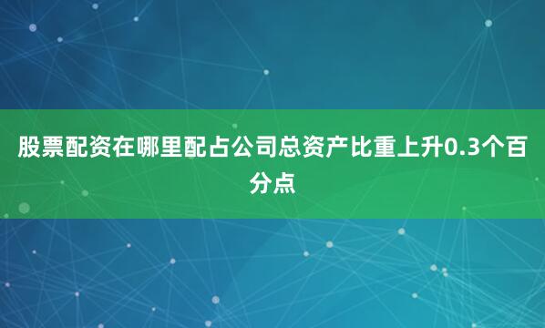 股票配资在哪里配占公司总资产比重上升0.3个百分点