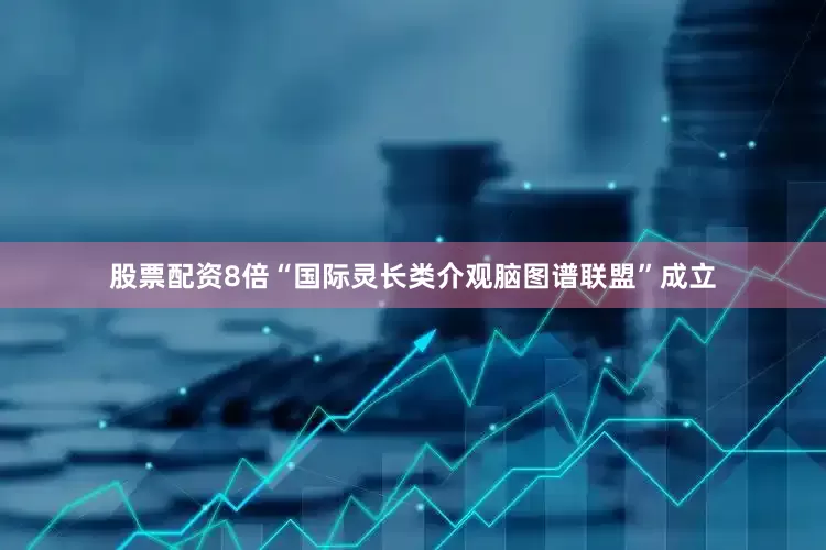股票配资8倍“国际灵长类介观脑图谱联盟”成立