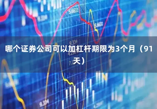 哪个证券公司可以加杠杆期限为3个月（91天）
